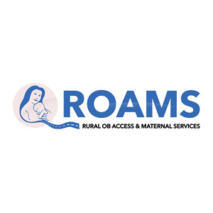 Rural Project Summary Roams Rural Ob Access Maternal Service