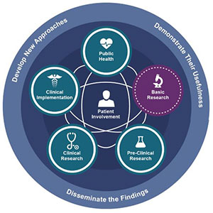 Translational Science: Research with Results that Touch Rural ...