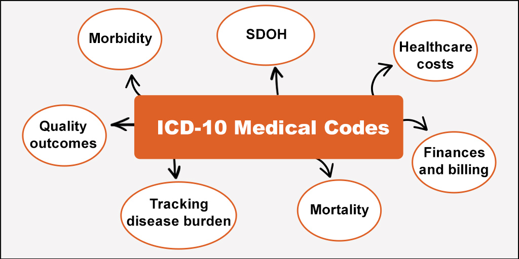 The Codes of Care: How Words and Numbers Have Transformative Power