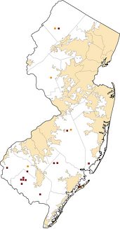New Jersey Rural Healthcare Facilities map